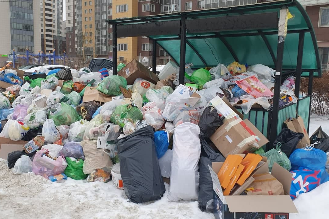 Петербург зарастает мусором