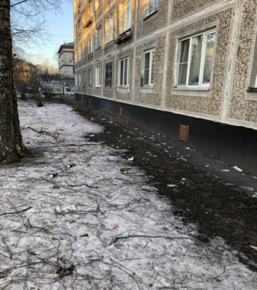 Петербург зарастает мусором. 10630.png