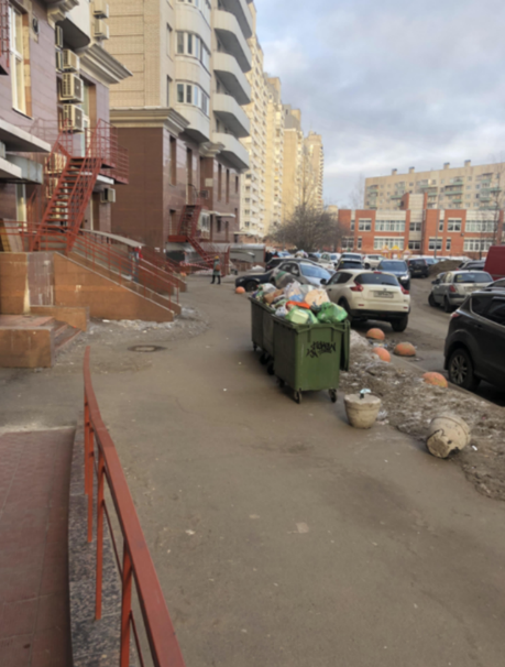 Петербург зарастает мусором. 10631.png