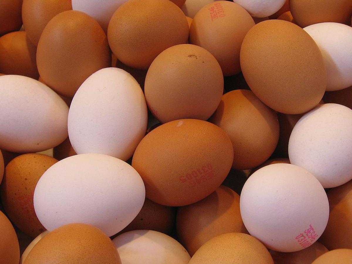 Хирург Умнов: постоянное употребление яиц на завтрак опасно для гипертоников