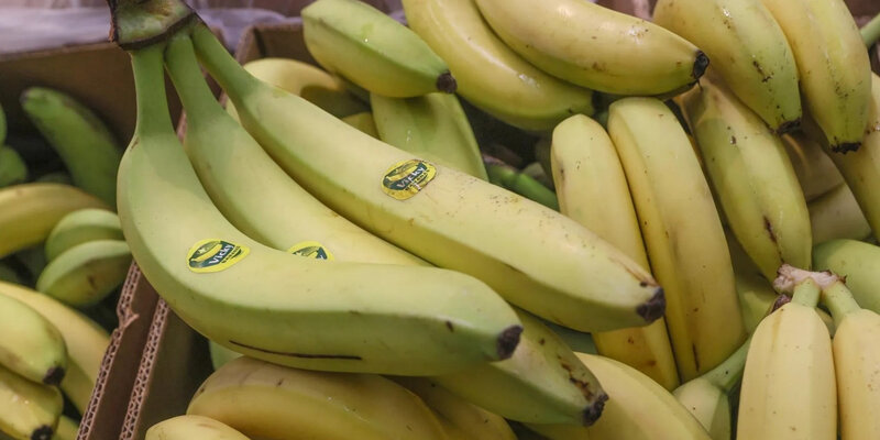 Индийские производители бананов планируют прочно обосноваться на рынке России