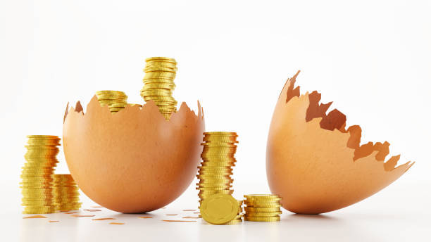 За последнюю неделю цены на яйца дополнительно снизились на 0,7 процента