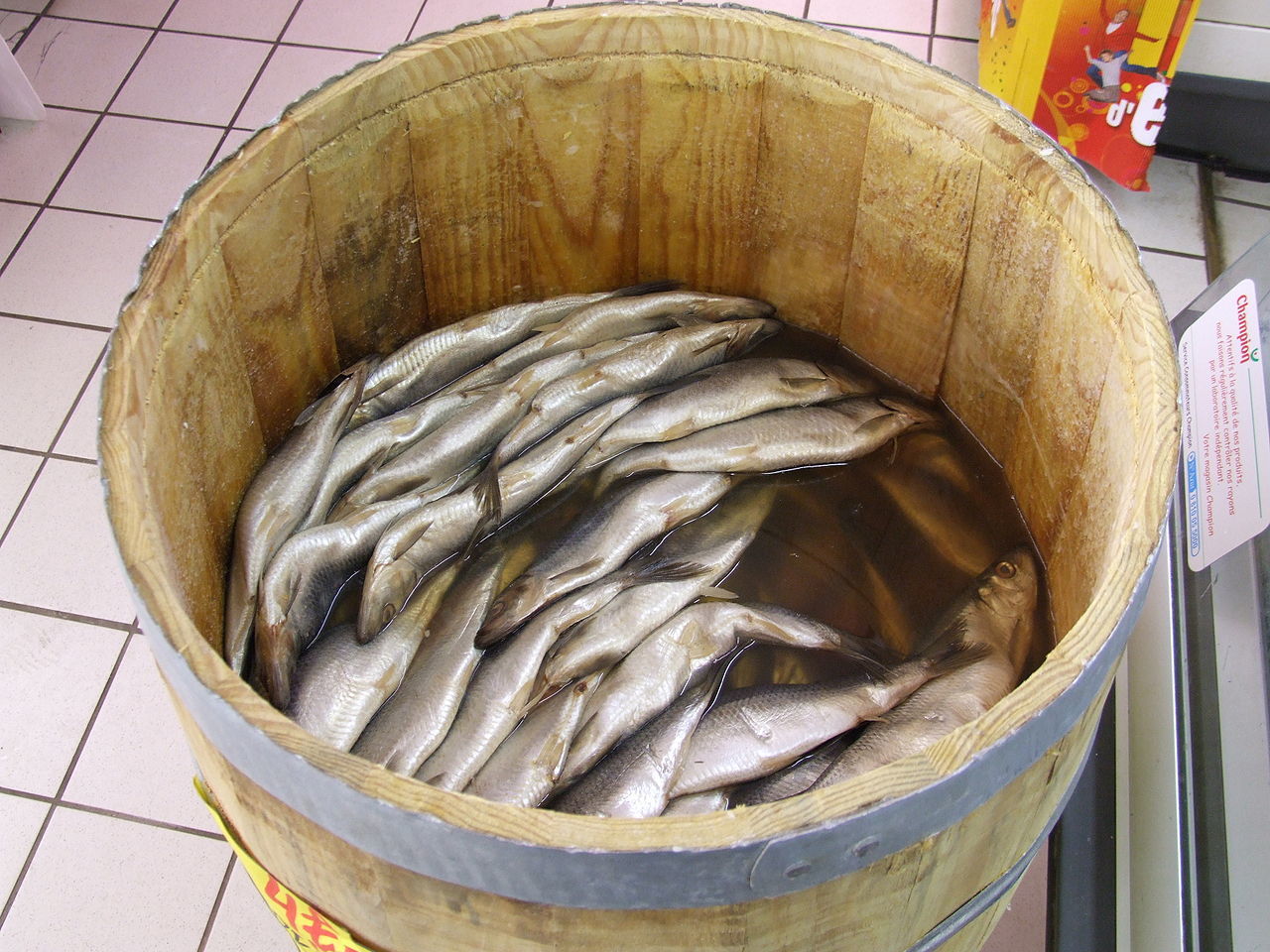 С начала текущего года добыча рыбы и морепродуктов в России выросла на 9%