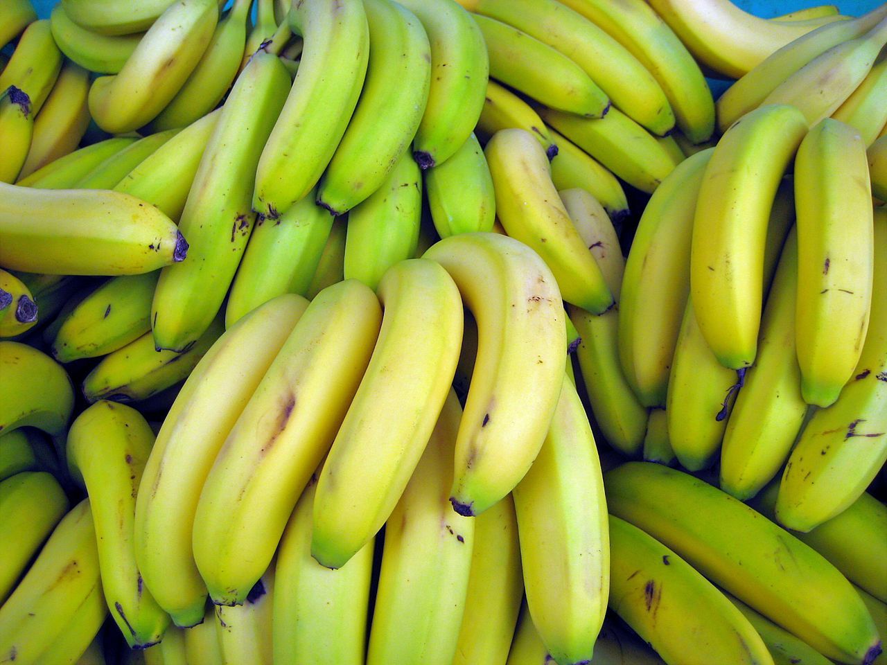 Французские ученые обнаружили новое полезное свойство бананов
