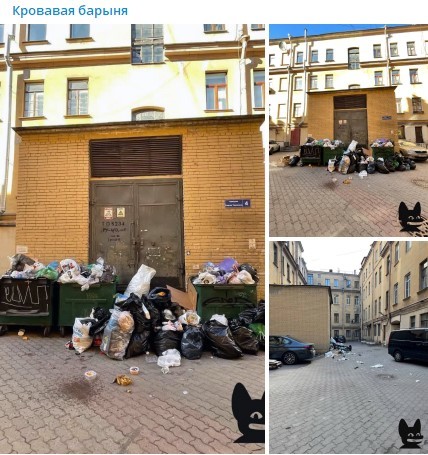 Собчак опубликовала кадры с мусорными горами в центре Санкт-Петербурга. 10712.jpeg