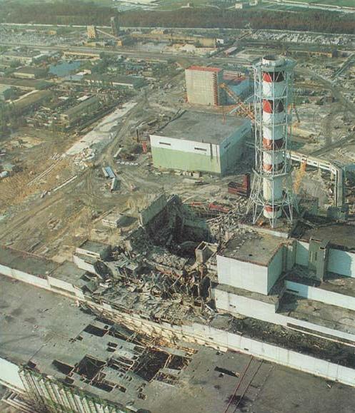Ученые из США провели исследование волков возле Чернобыльской АЭС