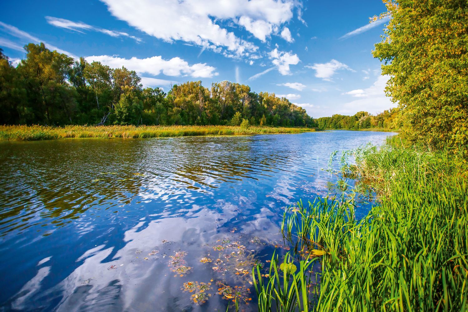 Дон станет полноводным: Ростовская область предложила расчистить более 30 рек