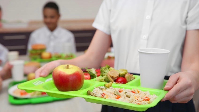 Система школьного питания Петербурга может быть реформирована