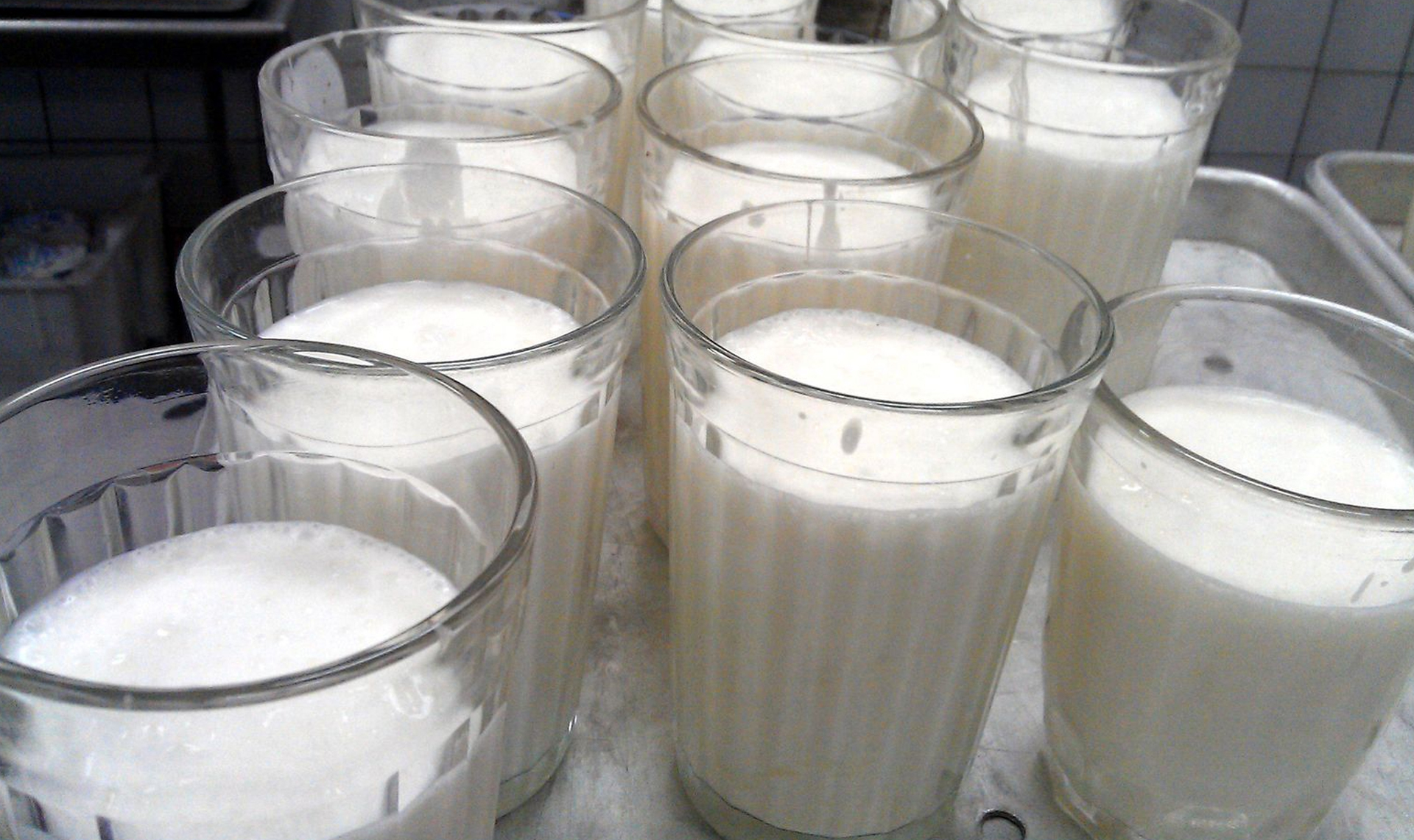 Снабжение детей молоком в столовых нуждается в контроле над комбинатами