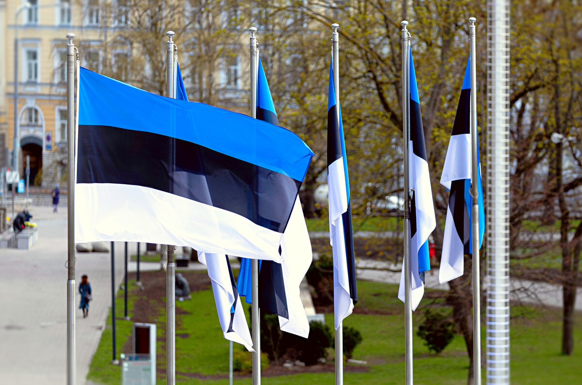 Российскому дипломату Эстония выразила возмущение