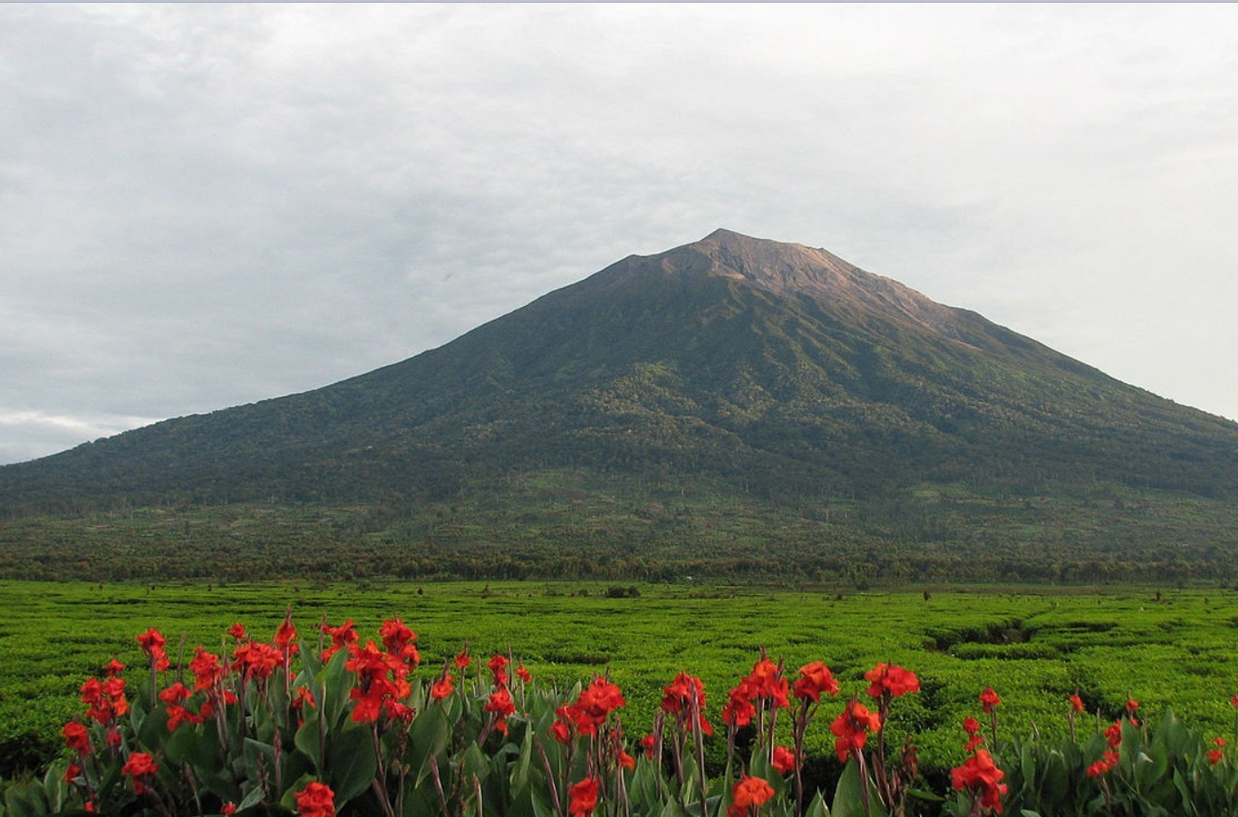 Аэропорт в Индонезии возобновил работу после временного закрытия из-за извержения вулкана