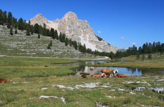 Падение уровня воды в озере ускоряет движение разломов — Шольц