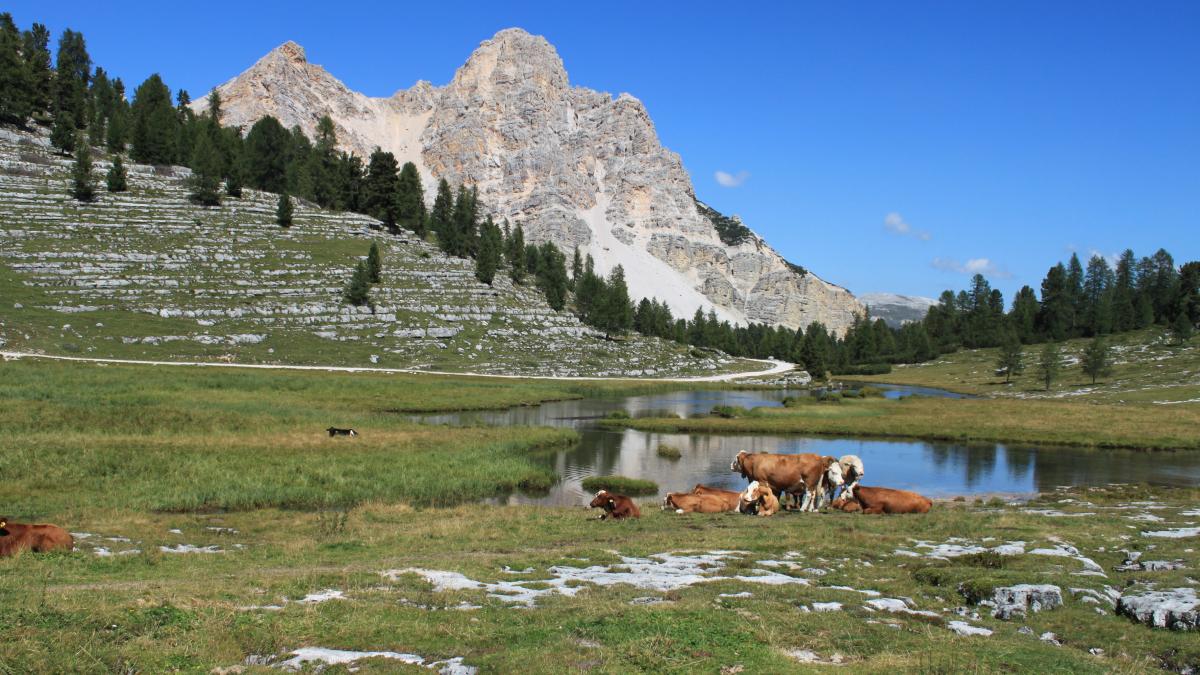 Озеро Брайес