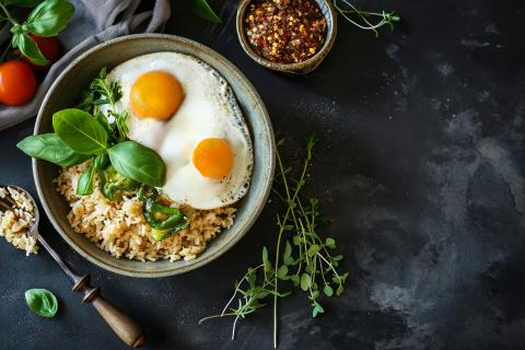 Избыток белка превращается в жир при отсутствии тренировок — Кейт Паттон, диетолог