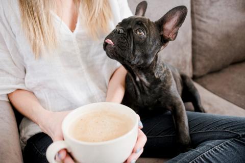 Рисунок на языке каждой собаки уникален, как отпечаток пальца у человека