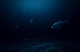 Микробы выживают в ярко-голубом иле у Марианской впадины — Шуботц