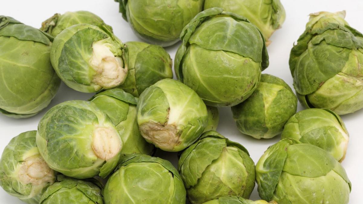 брюссельская капуста