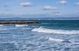 Температура морской поверхности достигла 30 градусов в июне — эксперт Пьер Баюрель