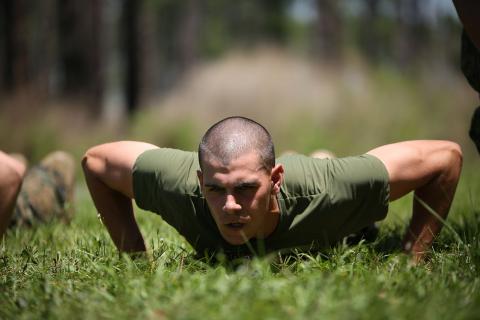 Отжимания на кулаках снижают нагрузку на запястья — исследование Journal of Electromyography and Kinesiology