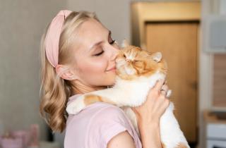 Потратила кучу времени на поиск идеальной кошки для квартиры: вот порода, которая принесет только спокойствие и уют