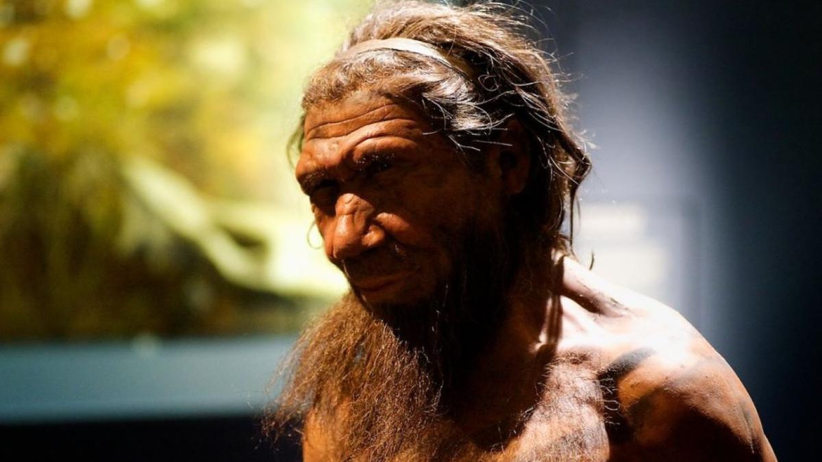 неандерталец