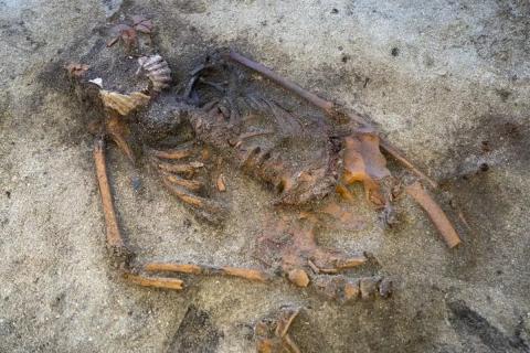 В Норвегии обнаружено редкое захоронение эпохи викингов - Popsci