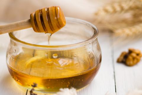 Шоколадный мед: как забытые отходы какао стали здоровым источником антиоксидантов и стиля жизни