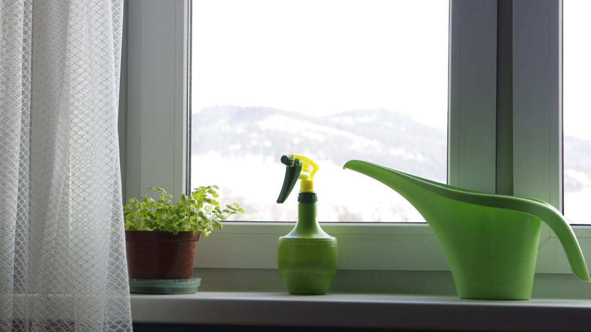 Подоконник (46947679661)