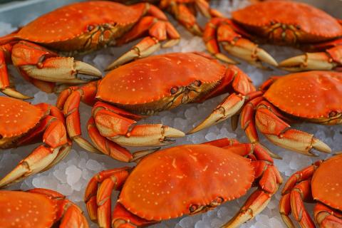 Стоимость ночной охоты на крабов на Шри-Ланке достигает 2000 рублей с человека — туристические гиды