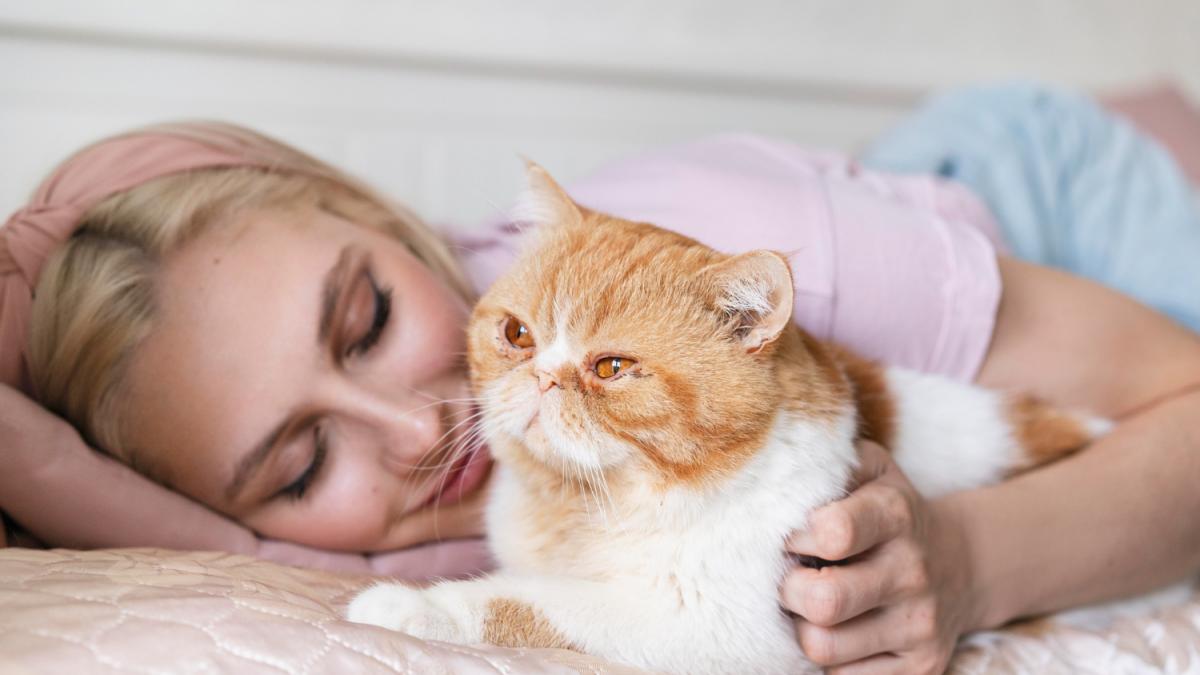 Девушка с кошкой Девушка с кошкой