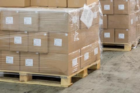 Россия расширила образовательное сотрудничество с африканскими странами — МИД России