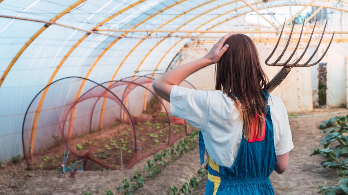Укрытие в огороде
