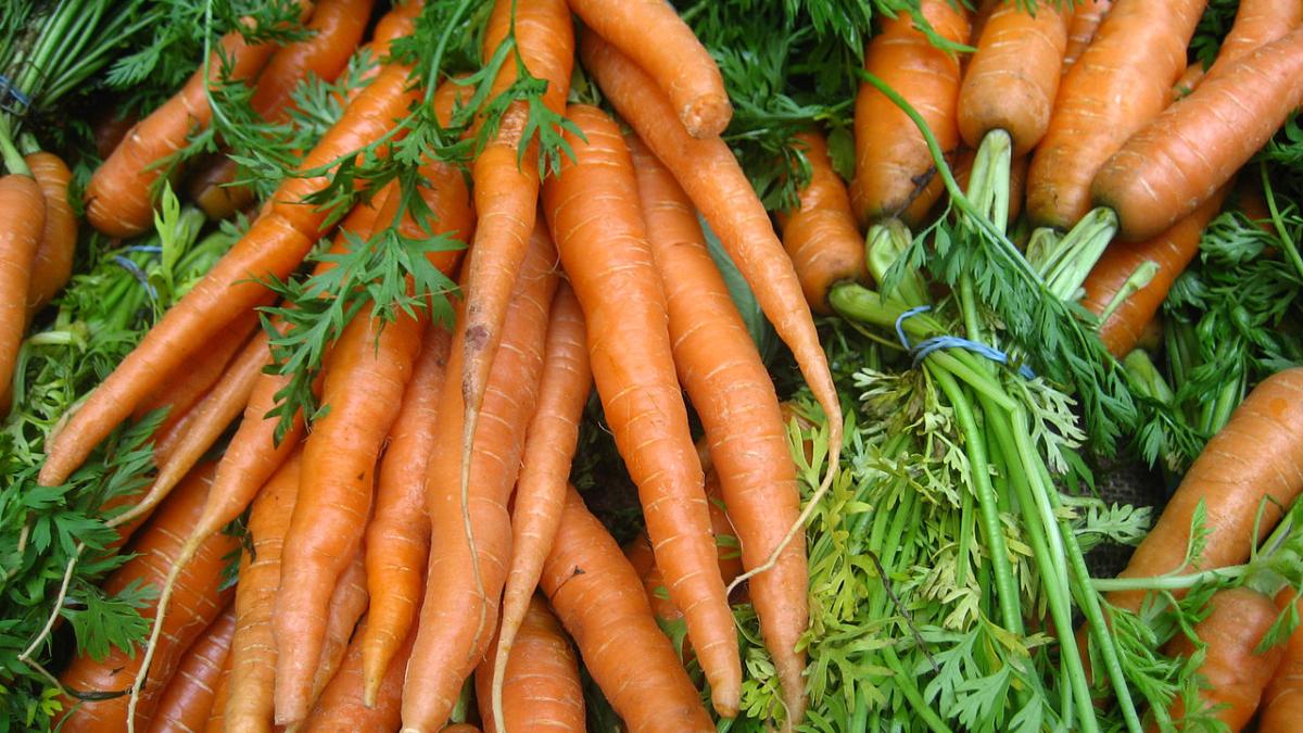 Морковь