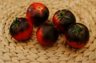 Победила вершинную гниль томатов и спасла урожай — мои проверенные методы