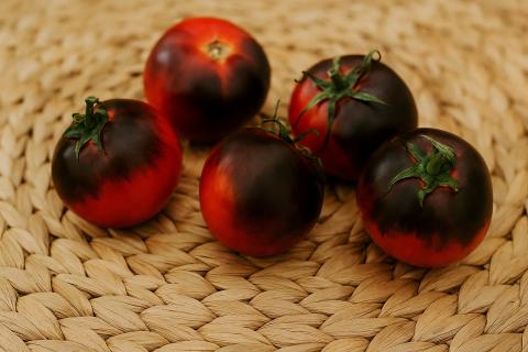 Победила вершинную гниль томатов и спасла урожай — мои проверенные методы