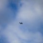 Пилоты разбившегося в Подмосковье SSJ-100 увели борт от населенных пунктов Пилоты разбившегося в Подмосковье SSJ-100 увели борт от населенных пунктов