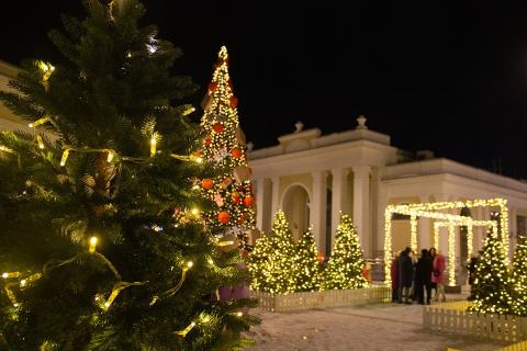 Покупателям посоветовали проверять ствол ели на отверстия — Александр Попов