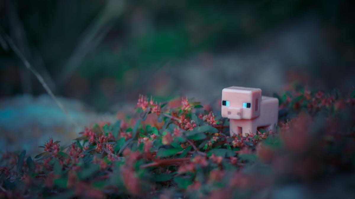 Minecraft pig