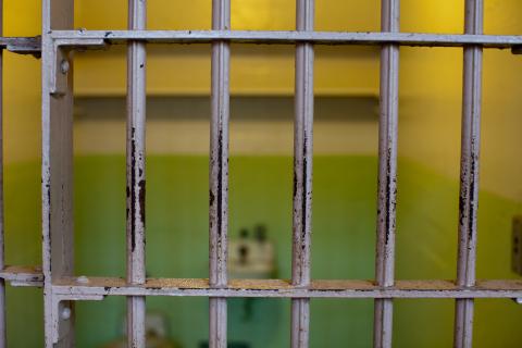 Суд Москвы отправил участницу проекта 