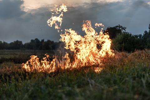 МЧС локализовало степные пожары в Каа-Хемском и Кызылском районах Тувы