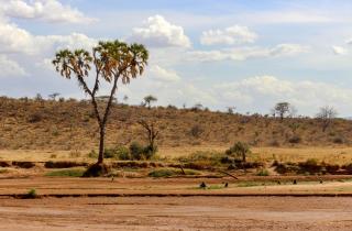 Февраль сохраняет сухую погоду и удобные дороги в парках Кении