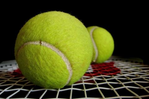 Фитнес-тренеры объяснили, как упражнения с gyro ball повышают выносливость рук