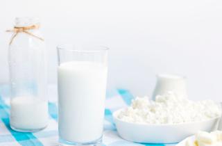 Безлактозное молоко признано безопасной альтернативой для кошек