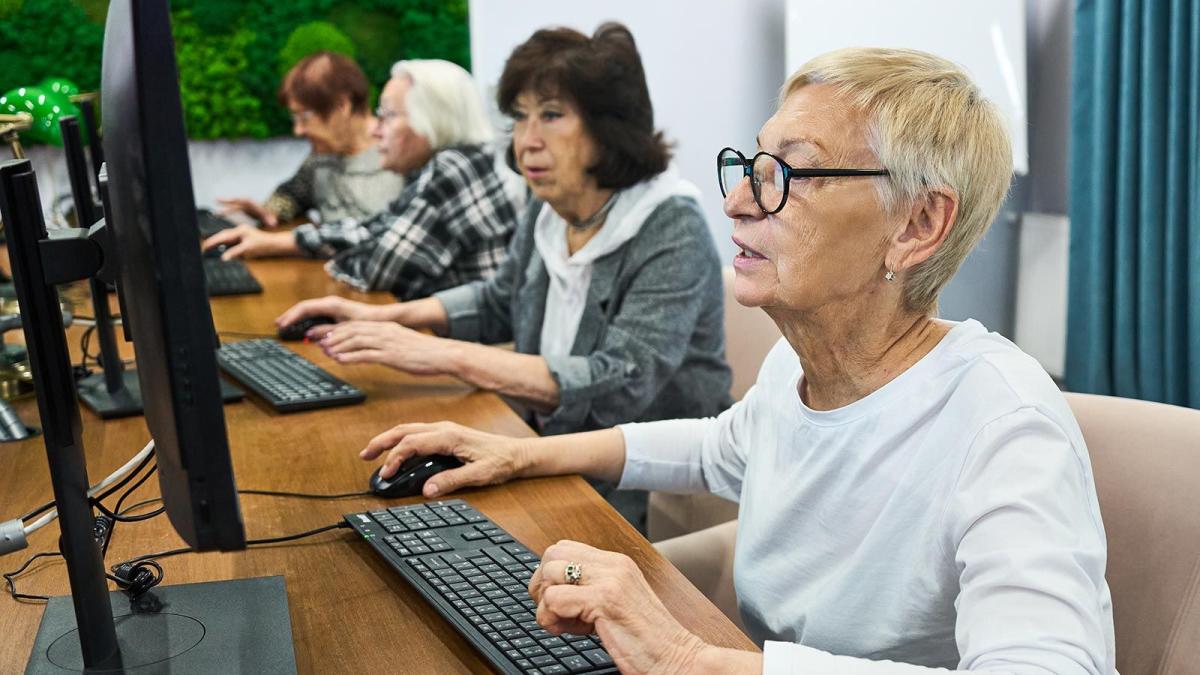 Цифровая грамотность