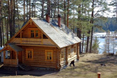 Дефекты домов из бревен: частичная замена бревен и герметизация щелей