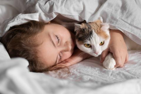 Что происходит с кошкой, если перестать её гладить