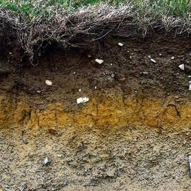 Ученые РФ создали полимеры, помогающие почве удерживать влагу