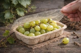 Сотни лет против двух с половиной недель: виноградная лоза запускает обратный отсчёт для пластика