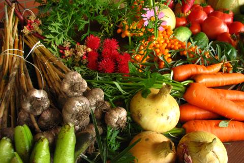 Профессор Синтия Томсон: овощи — главная группа продуктов для защиты от рака