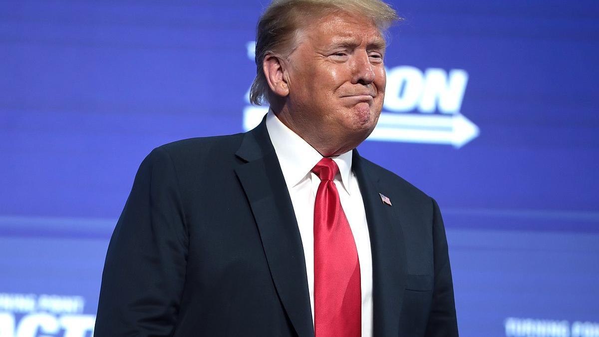 Дональд Трамп обвинил демократов в желании отменить народное голосование Дональд Трамп обвинил демократов в желании отменить народное голосование